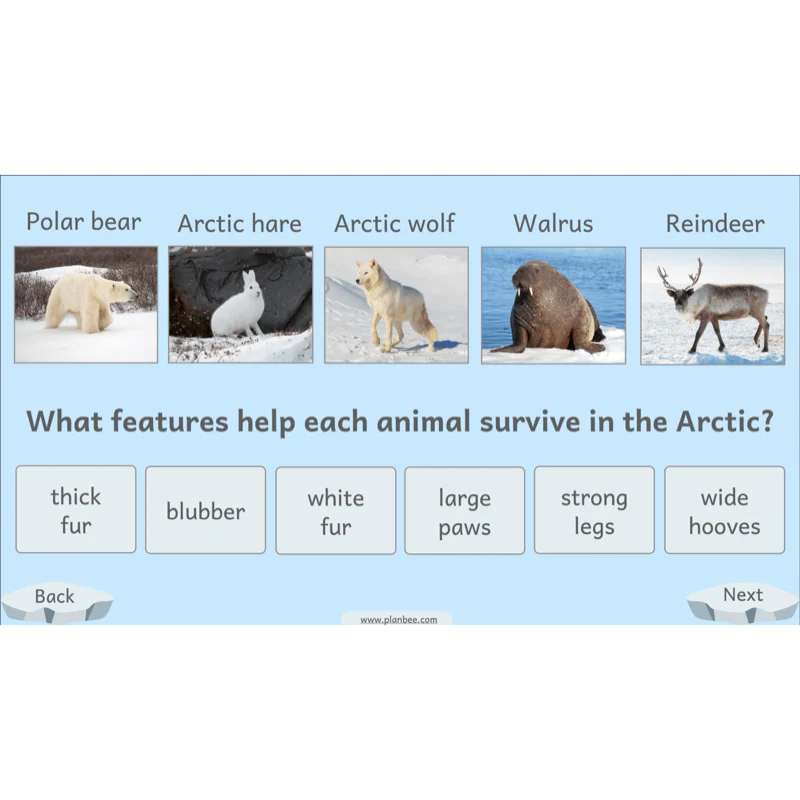 Let's go to the Arctic - Image 10