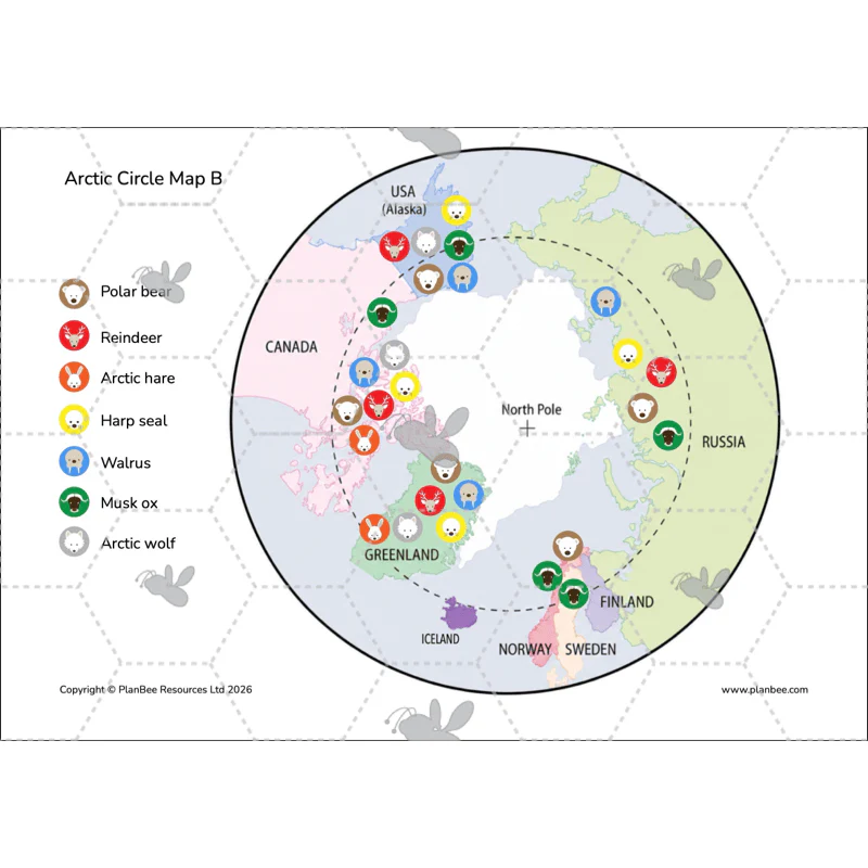Let's go to the Arctic - Image 18