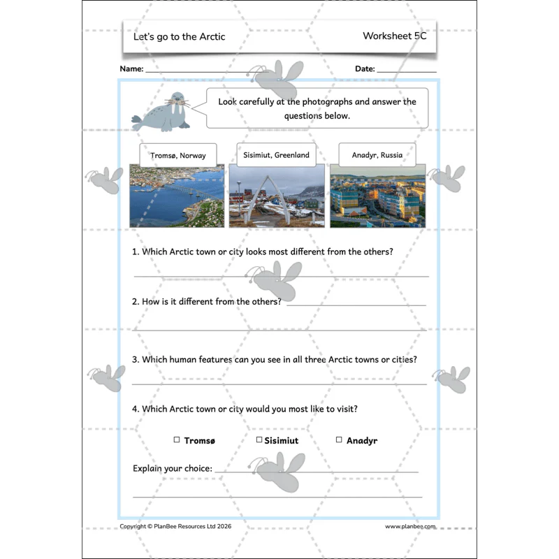 Let's go to the Arctic - Image 19