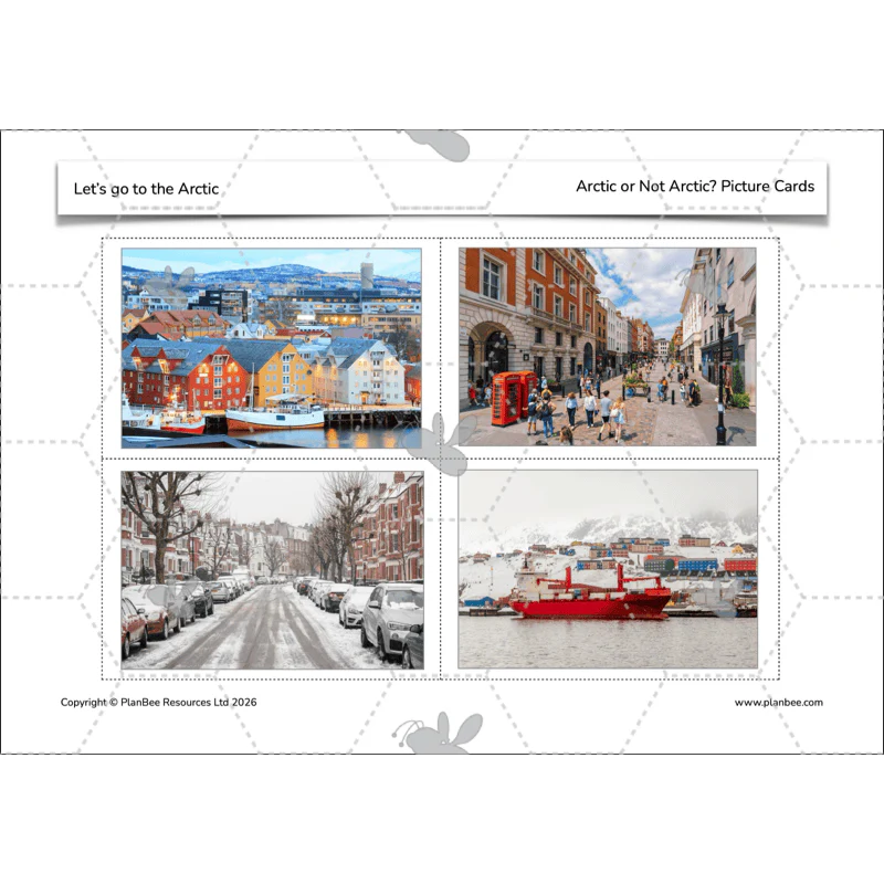 Let's go to the Arctic - Image 30