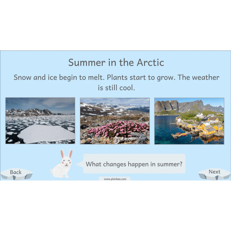 Let's go to the Arctic - Image 34