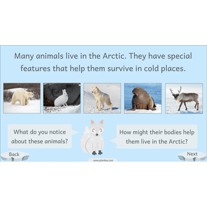 Let's go to the Arctic - Image 48
