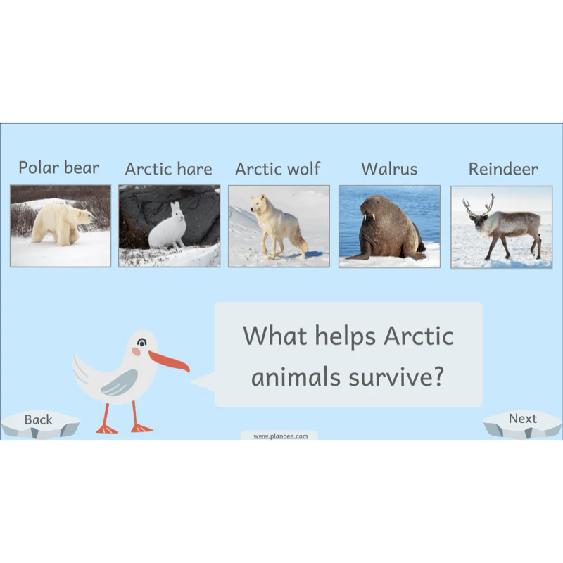 Let's go to the Arctic - Image 51