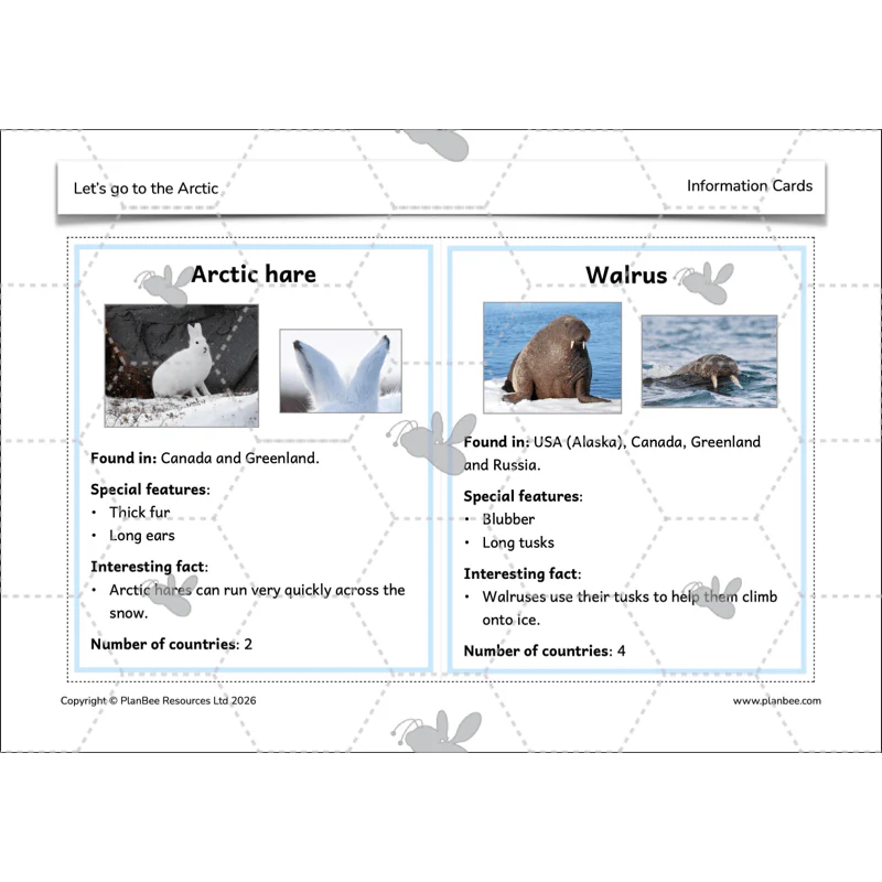 Let's go to the Arctic - Image 53