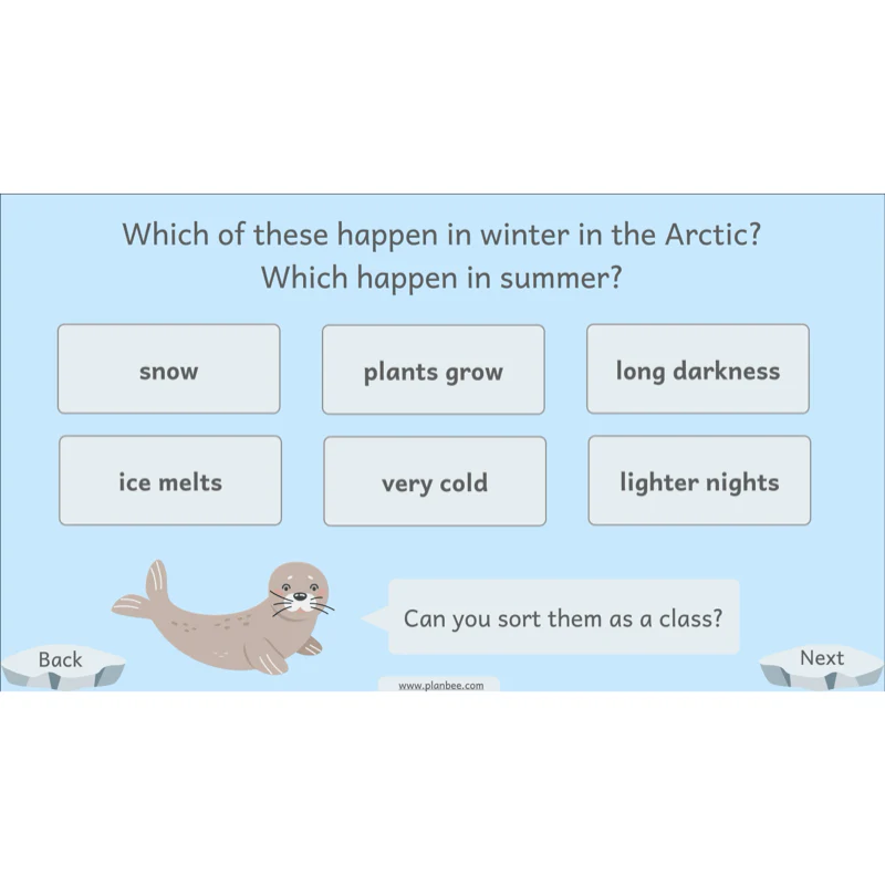 Let's go to the Arctic - Image 6