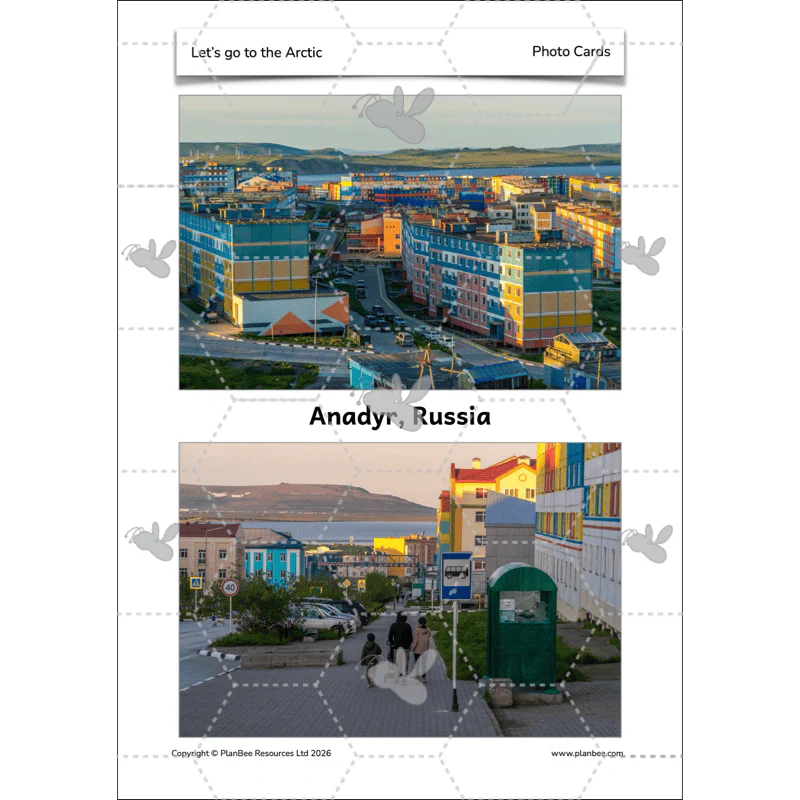 Let's go to the Arctic - Image 61