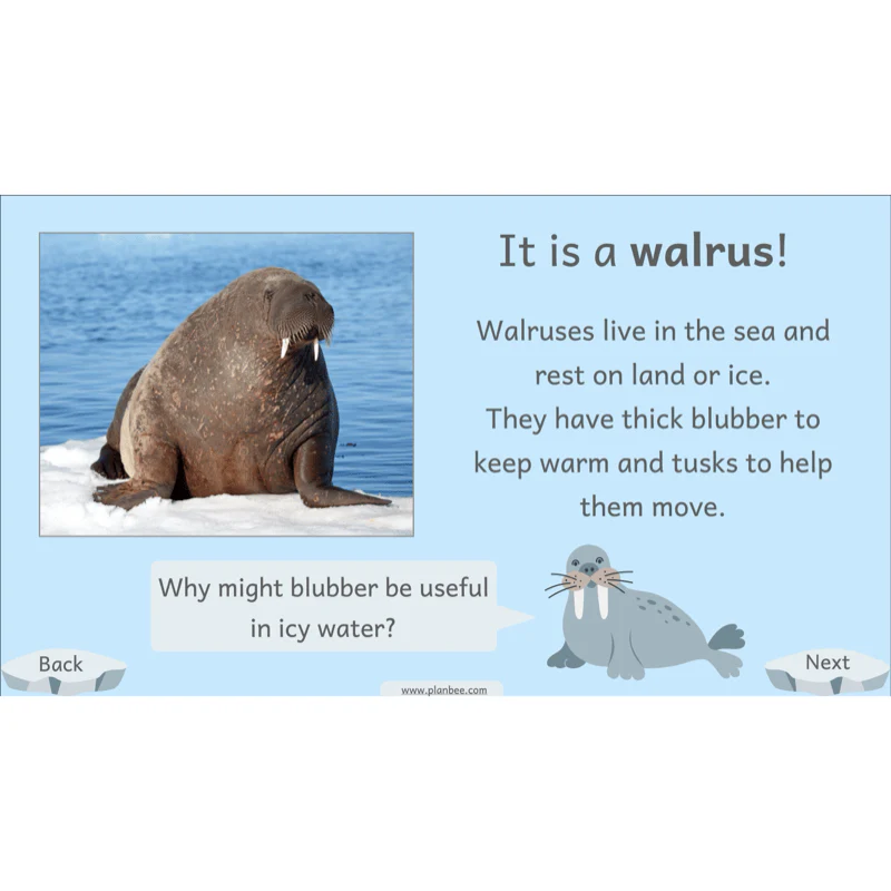 Let's go to the Arctic - Image 9