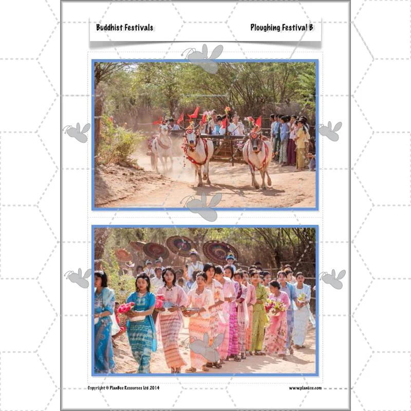 Buddhist Festivals - Image 41