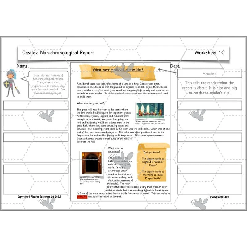 Castles: Non-chronological Reports - Image 25
