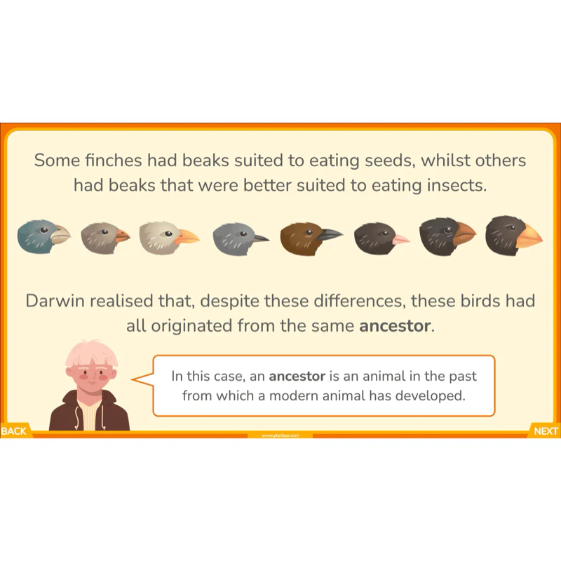 Charles Darwin - Image 6