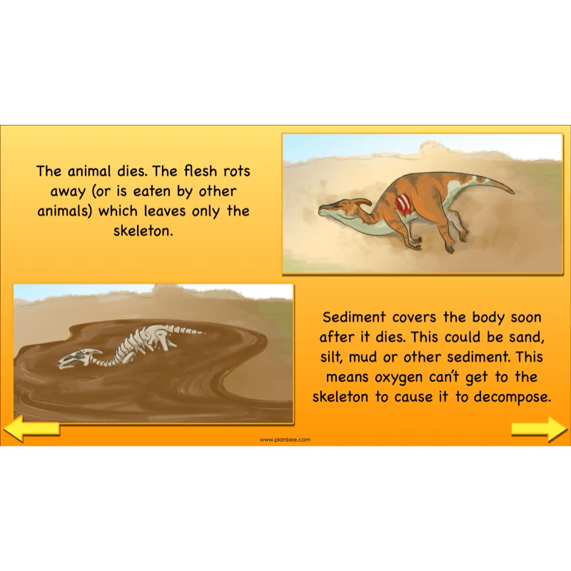 Dinosaurs KS2 Topic Enrichment Pack - Image 34