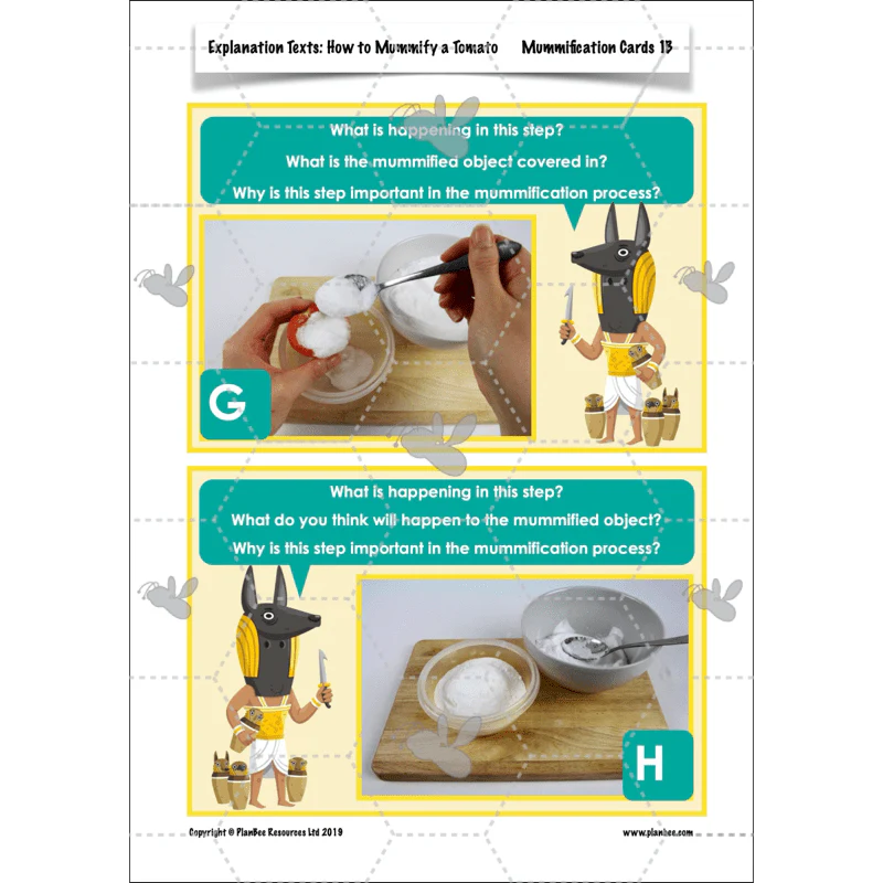 Explanation Texts: How to Mummify a Tomato - Image 11