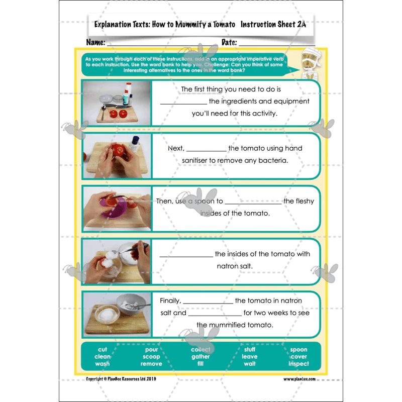 Explanation Texts: How to Mummify a Tomato - Image 12