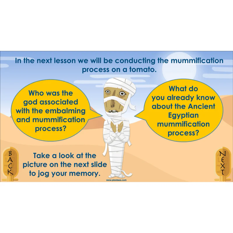 Explanation Texts: How to Mummify a Tomato - Image 17