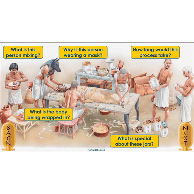 Explanation Texts: How to Mummify a Tomato - Image 18
