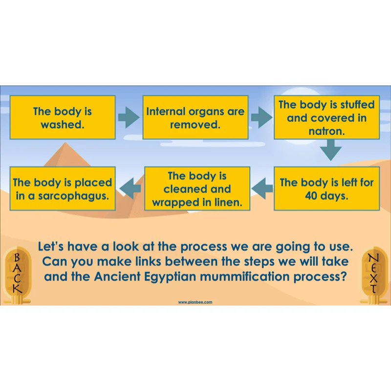 Explanation Texts: How to Mummify a Tomato - Image 19