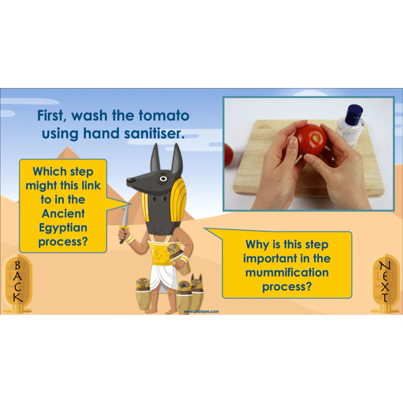 Explanation Texts: How to Mummify a Tomato - Image 4