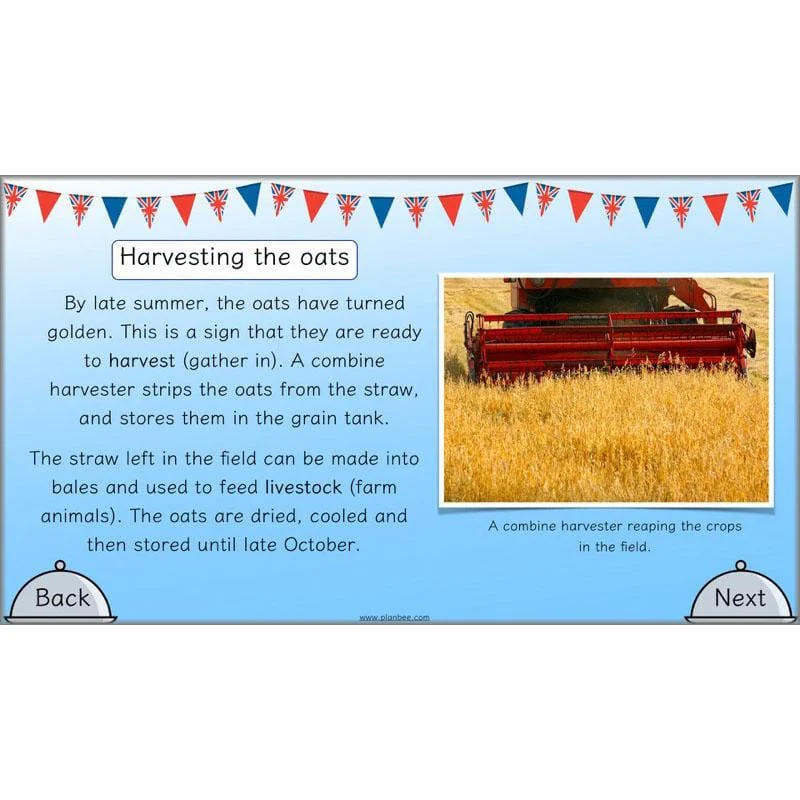 Great British Dishes - Image 40