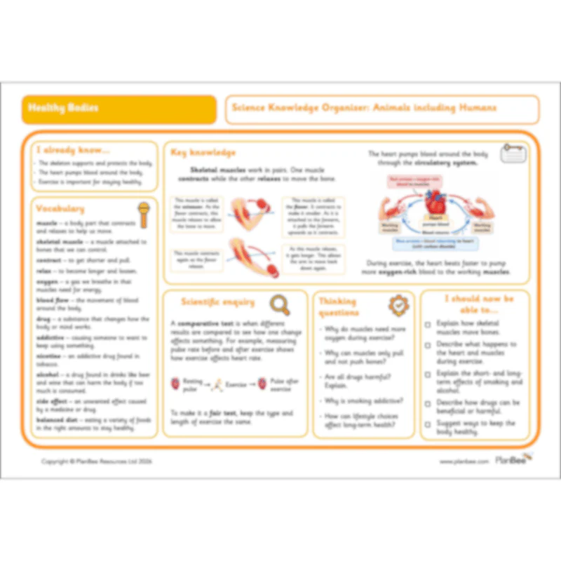 Health Topic Bundle - Image 11