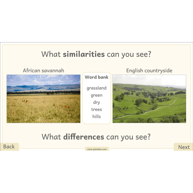Let's go on Safari - Image 15