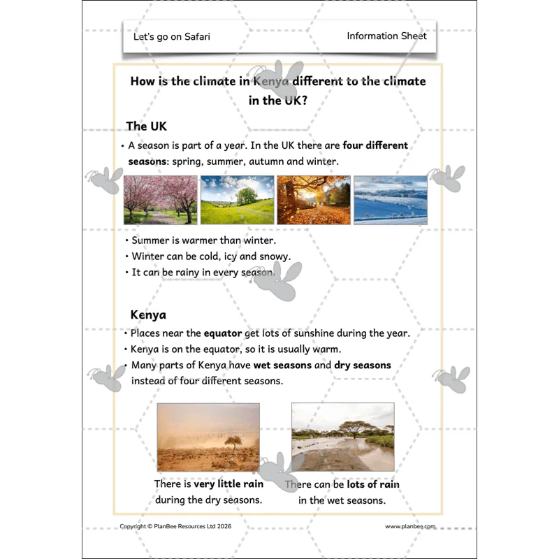 Let's go on Safari - Image 18
