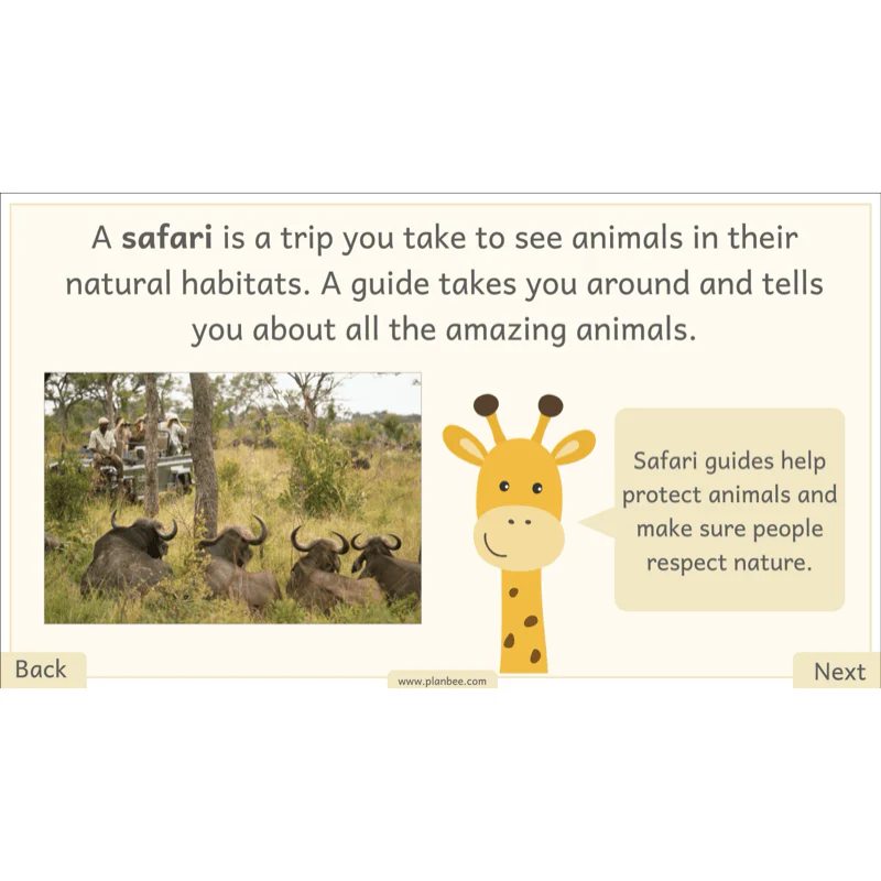 Let's go on Safari - Image 3