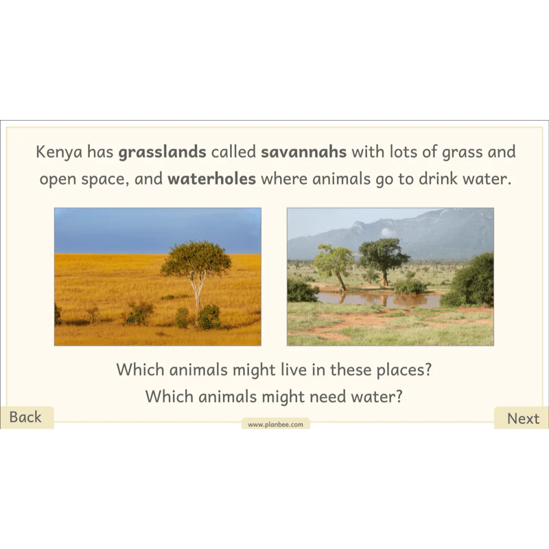 Let's go on Safari - Image 43