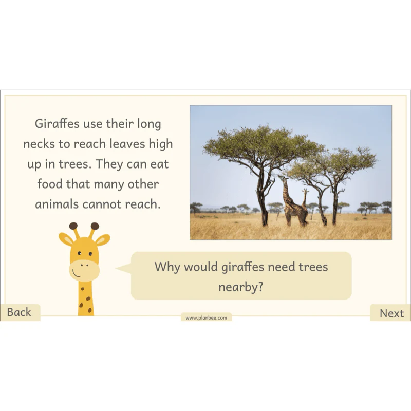 Let's go on Safari - Image 45