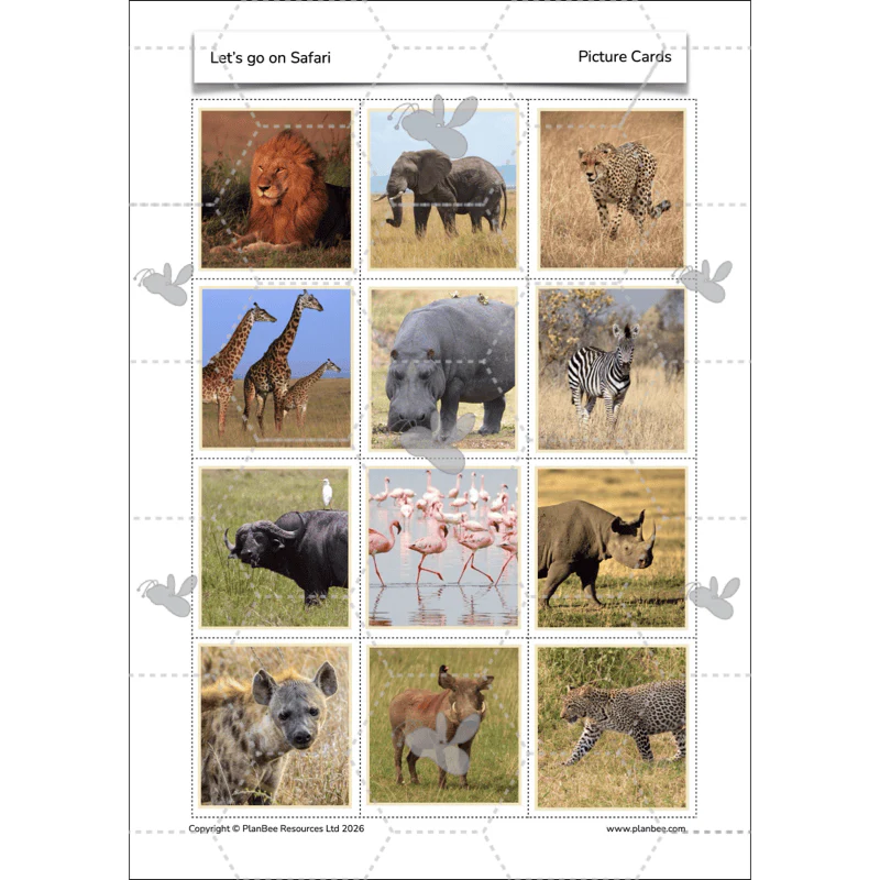 Let's go on Safari - Image 49