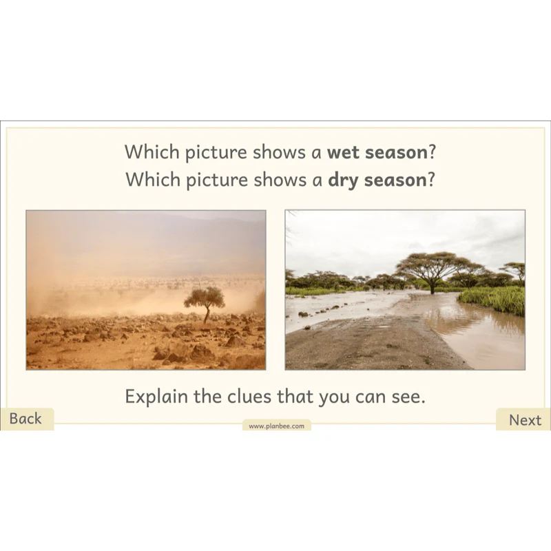 Let's go on Safari - Image 6