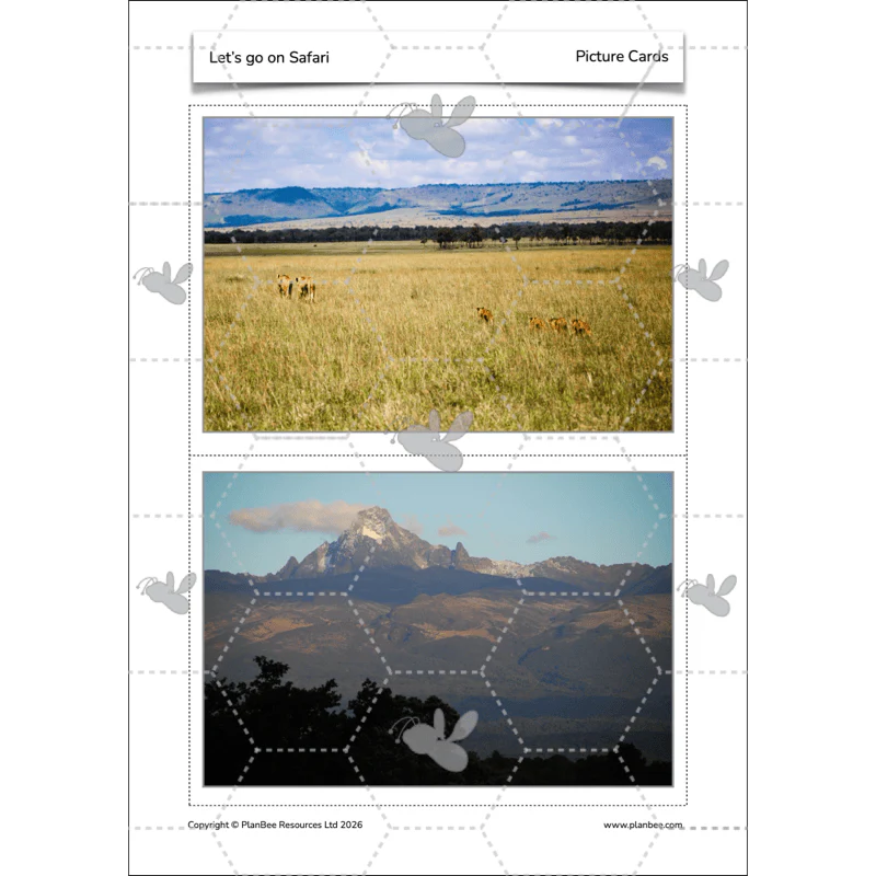 Let's go on Safari - Image 64