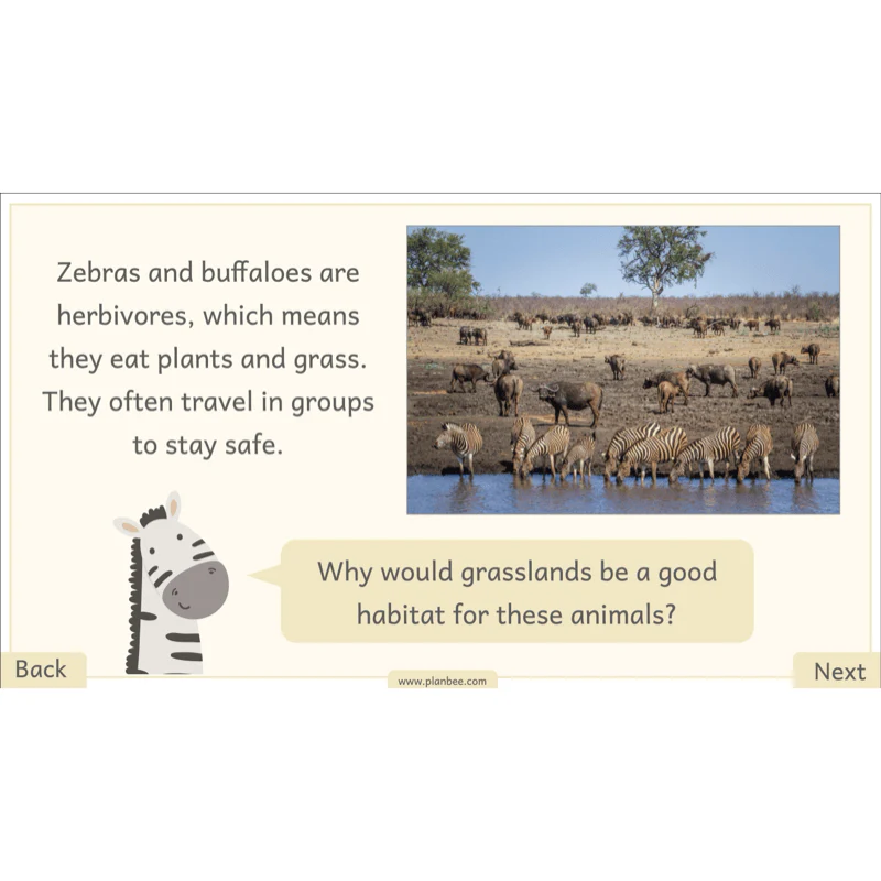 Let's go on Safari - Image 7