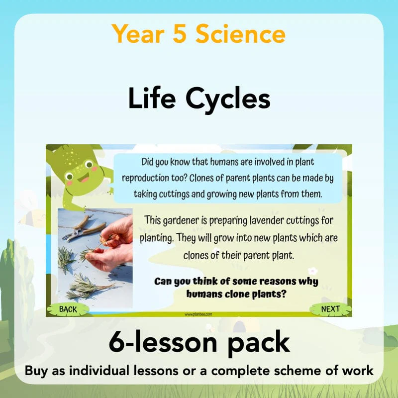 Year 5 Science Resources and Topics for the National Curriculum