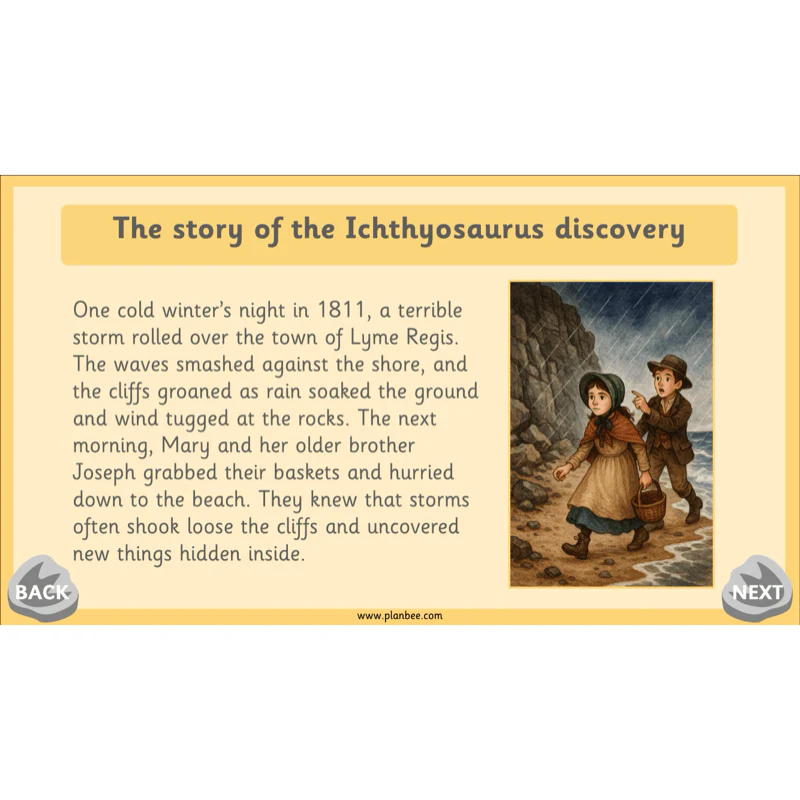 Mary Anning KS1 - Image 39