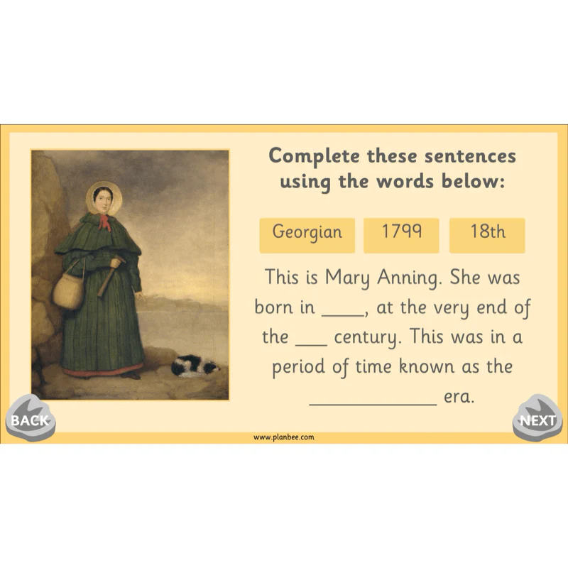 Mary Anning KS1 - Image 5