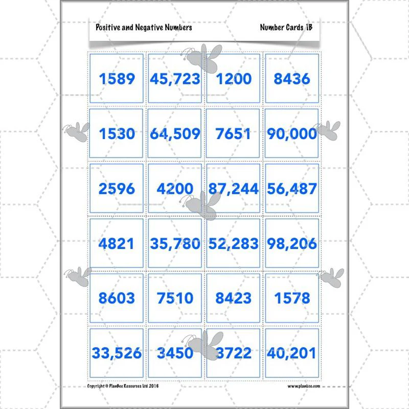 Positive and Negative Numbers - Image 30
