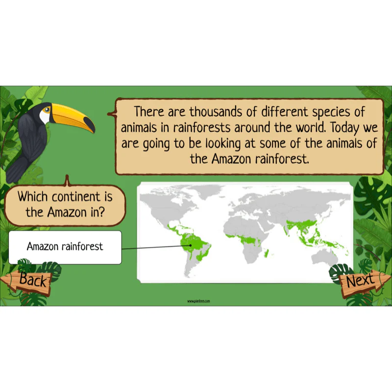 Rainforest Habitats - Image 7