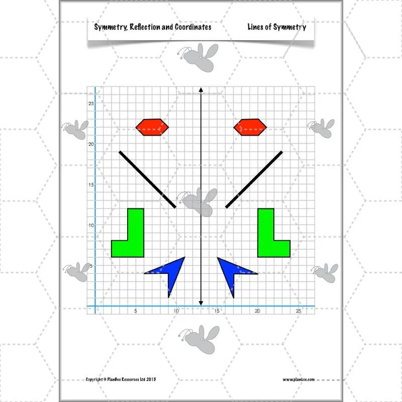 Symmetry, Reflection and Coordinates - Image 48