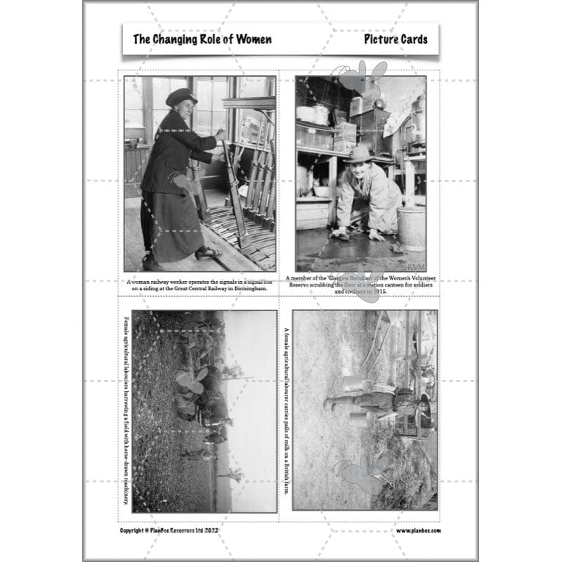 The Changing Role of Women - Image 13