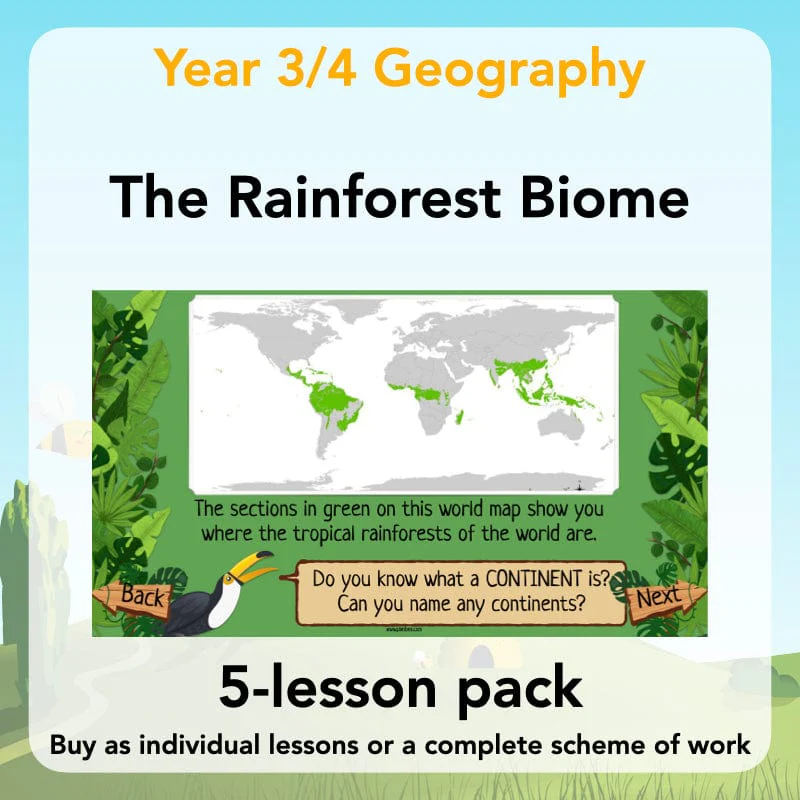 The Rainforest Biome