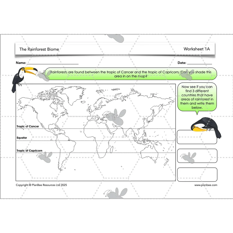The Rainforest Biome - Image 13