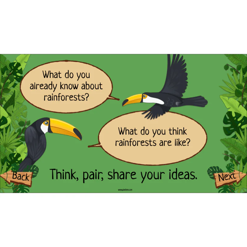 The Rainforest Biome - Image 21