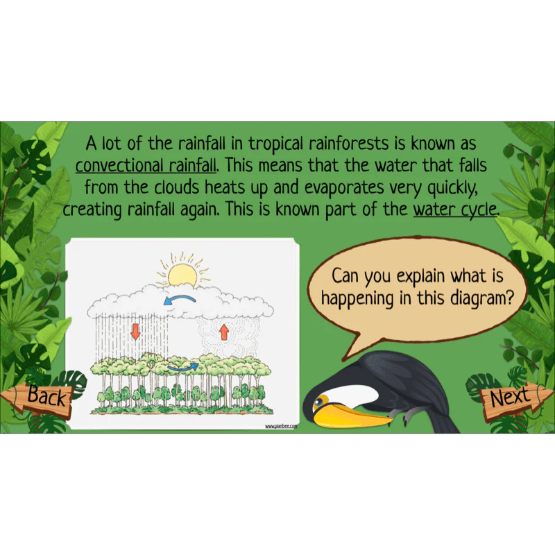 The Rainforest Biome - Image 39
