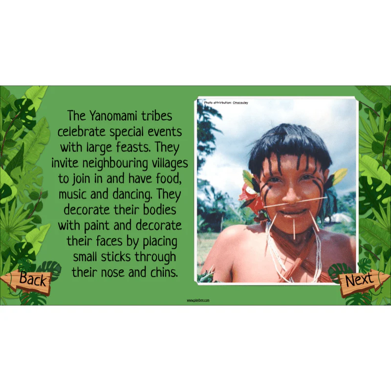 The Rainforest Biome - Image 46
