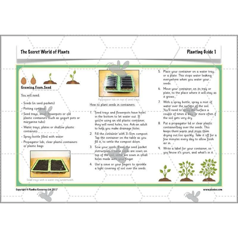 The Secret World of Plants - Image 29