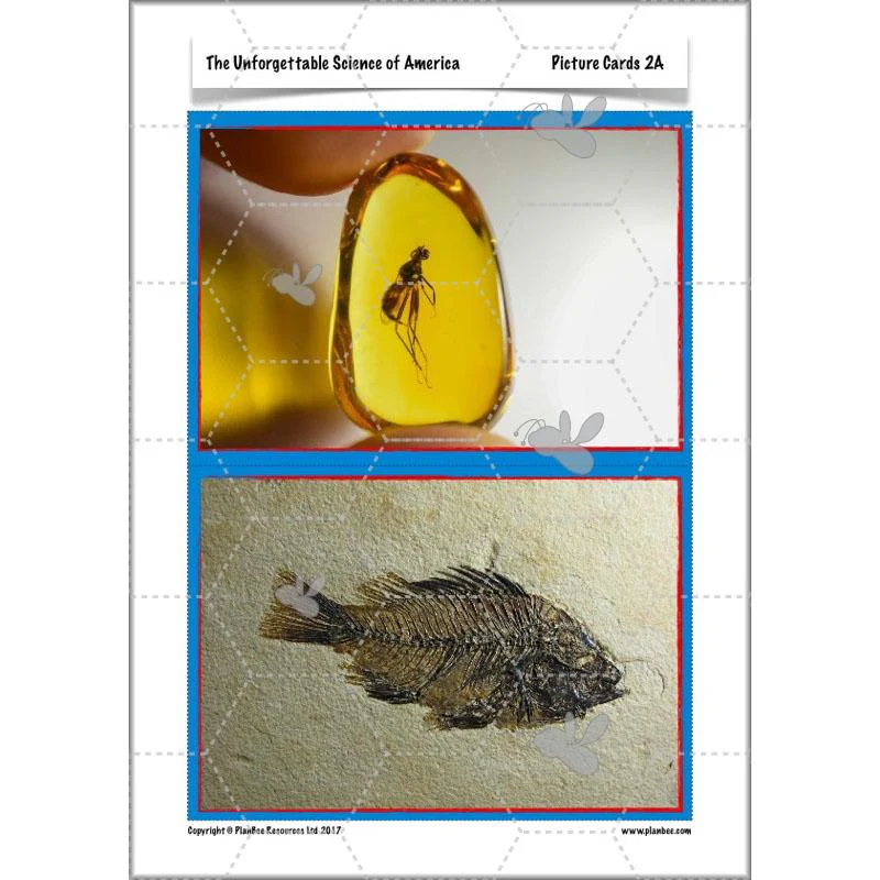 The Unforgettable Science of America - Image 17